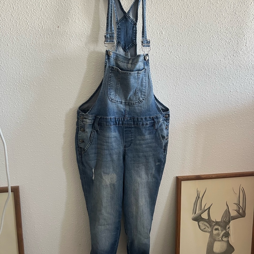 Lee Light Blue Denim Overalls
